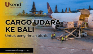 Usend | Panduan Cargo Udara ke Bali: Pengiriman untuk Bisnis